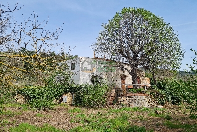 COUNTRY HOUSE (farmhouse) for sale and with land of 12,500 m2, green, with lots of water, paved access 2 km from Falset.